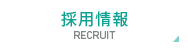 採用情報